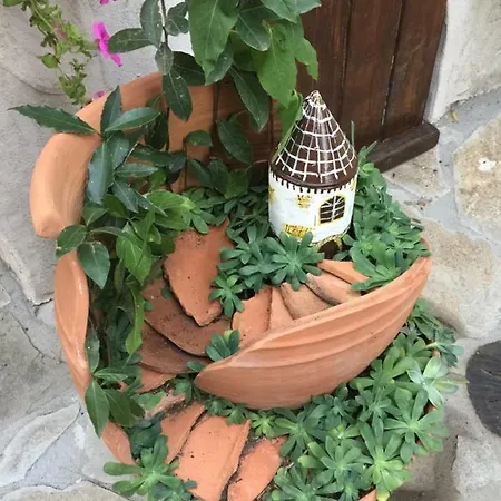 Konakari Garden Tatil Evi *