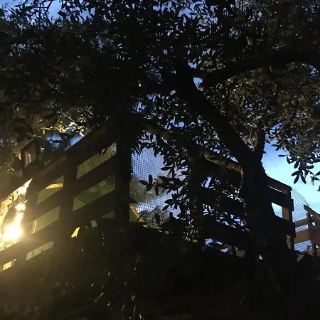 Konakari Garden 펜션 스타브로스