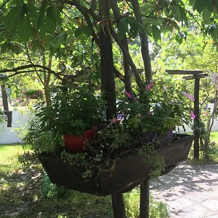 Konakari Garden * Stavros (Thessaloniki)